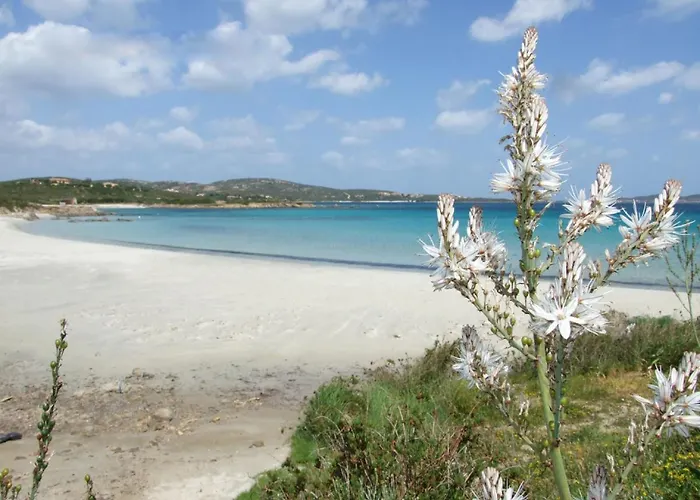 Mari By Interhome * Olbia